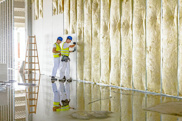 Best Insulation for Specific Applications in St Vincent College, PA